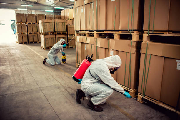 Best Pest Control for Homes  in Redondo Beach, CA