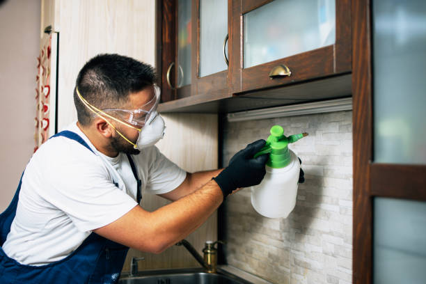 Best Best Pest Control Companies  in Redondo Beach, CA