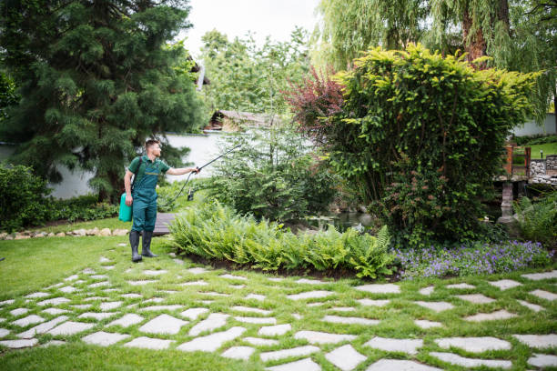 Best Best Pest Control Near Me  in Redondo Beach, CA