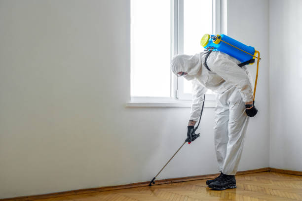 Redondo Beach, CA Pest Control Company