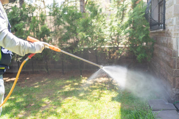 Pest Prevention Services in Redondo Beach, CA