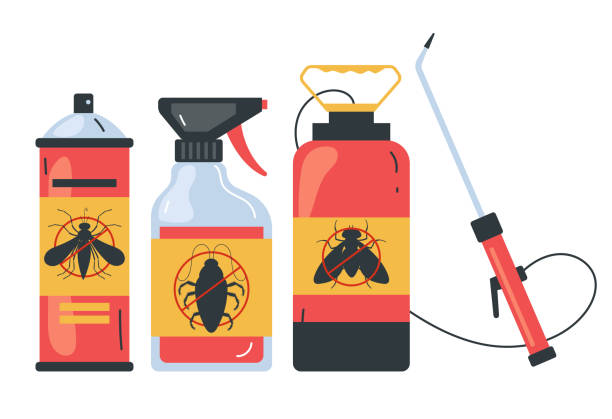 Best Termite Control Services  in Redondo Beach, CA