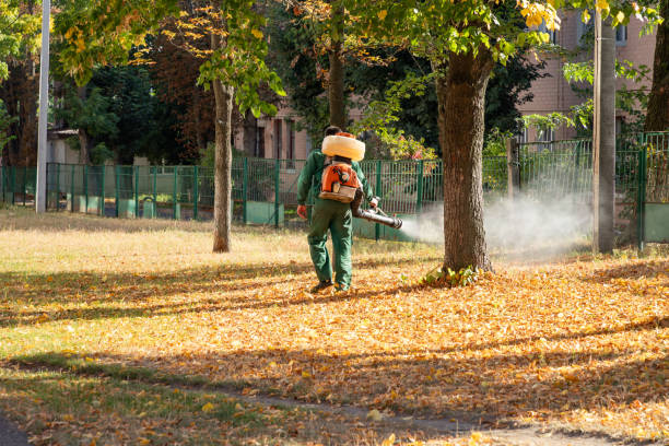Best Pest Control Near Me in Redondo Beach, CA